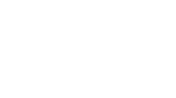 BILOOP Consulting
